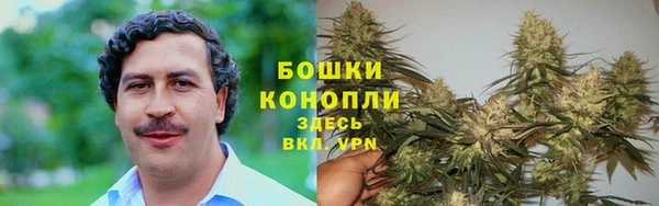 гидра Корсаков