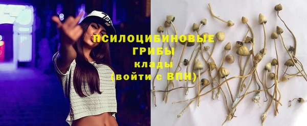 гидра Корсаков