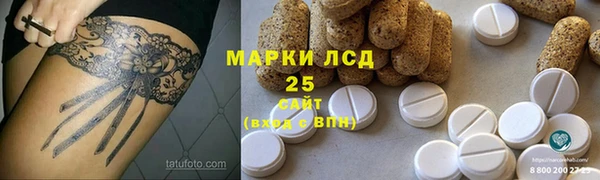 гидра Корсаков