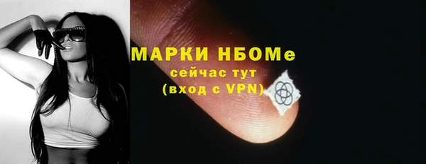 гидра Корсаков