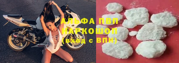 гидра Корсаков