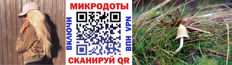 Псилоцибиновые грибы Magic Shrooms  дарнет шоп  ОМГ ОМГ как войти  Озёры 
